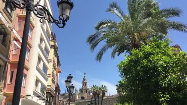 Kathedrale Sevilla Der Altstadt Von Sevilla — Stockvideo