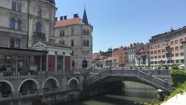 Любляниця Старому Місті Любляна Словенія — стокове відео
