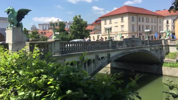 Ponte Del Drago Sul Fiume Lubiana Nel Centro Storico Lubiana — Video Stock