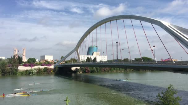 Kanoe Projíždějící Kolem Mostu Člunů Canal Alfonso Xiii Seville Španělsko — Stock video