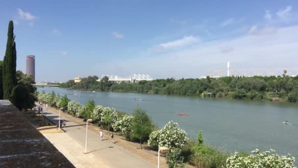 Boulevard Con Gente Largo Del Canal Alfonso Xiii Sevilla España — Vídeo de stock