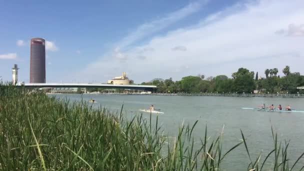 Canoas Cruceros Canal Alfonso Xiii Sevilla España — Vídeo de stock