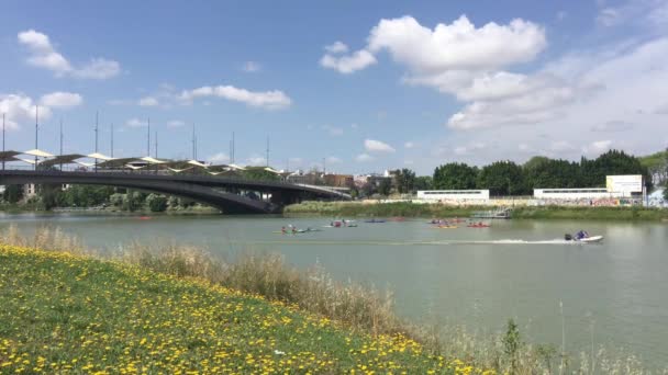 Canoas Uma Lancha Canal Alfonso Xiii Sevilha Espanha — Vídeo de Stock