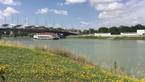 Kryssningsfartyg Vid Canal Alfonso Xiii Sevilla Spanien — Stockvideo