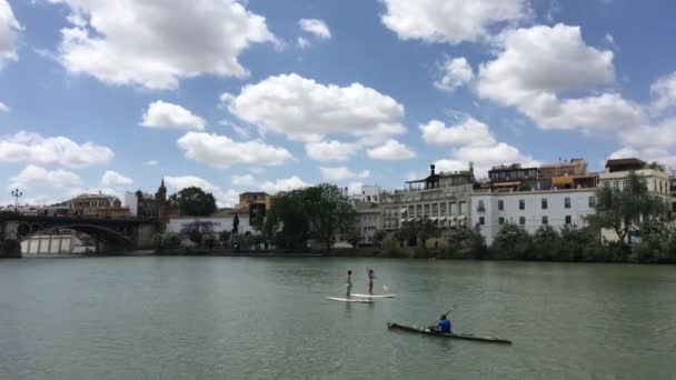 Kanovaren Stand Peddel Bij Het Canal Alfonso Xiii Sevilla Spanje — Stockvideo