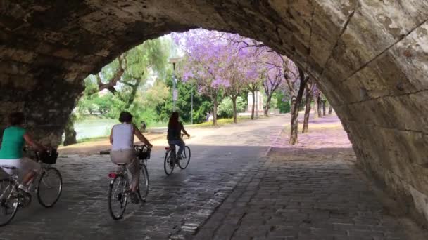 Ciclismo Turistas Bajo Puente Isabel Sevilla España — Vídeos de Stock