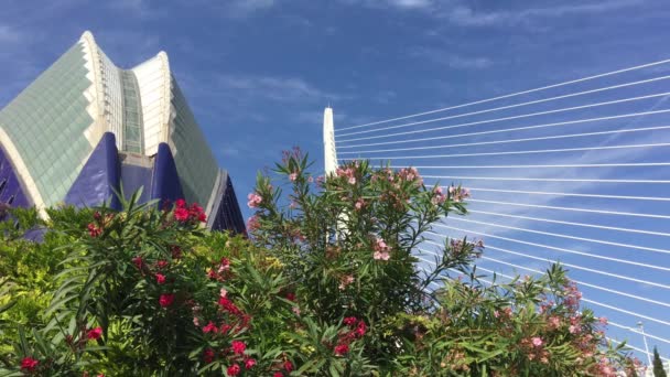 Agora Assut Brug Bij Stad Van Kunst Wetenschappen Valencia Spanje — Stockvideo