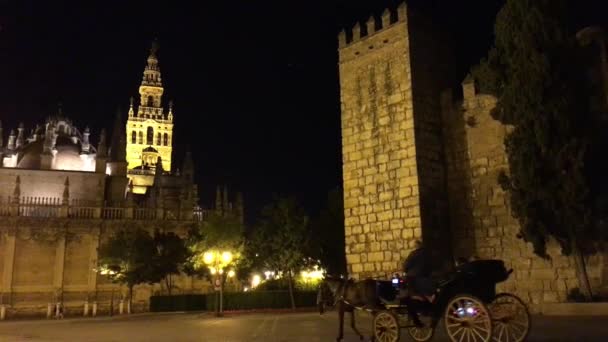 Katedralen Saint Mary See Katedralen Sevilla Natten Sevilla Spanien — Stockvideo