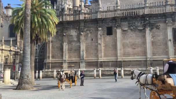 Luta Upp Från Häst Och Vagn Framför Katedralen Sevilla Spanien — Stockvideo