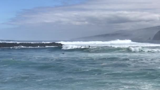 Surfistas Grandes Ondas Nas Ilhas Canárias Puerto Cruz Tenerife — Vídeo de Stock