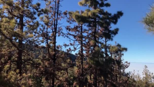 Pan Teide Nationalpark Auf Teneriffa Kanarische Inseln — Stockvideo