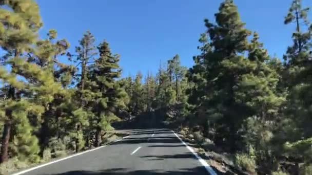 加那利群岛Tenerife的Teide国家公园开车经过 — 图库视频影像