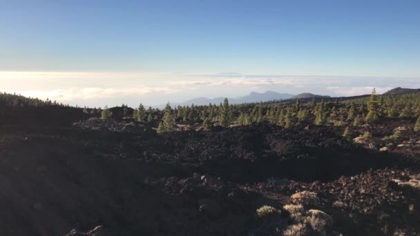 Τοπίο Στο Εθνικό Πάρκο Teide Στην Τενερίφη Των Καναρίων Νήσων — Αρχείο Βίντεο