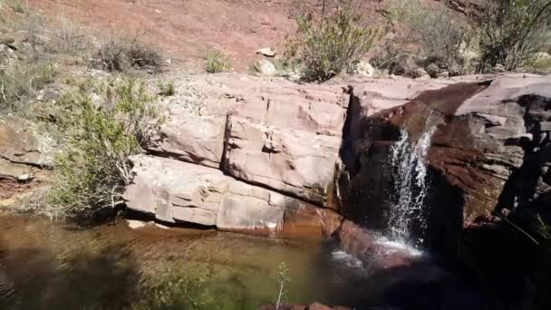 Lagarto Cinzento Entre Rochas Parque Natural Serra Espad Espanha — Vídeo de Stock