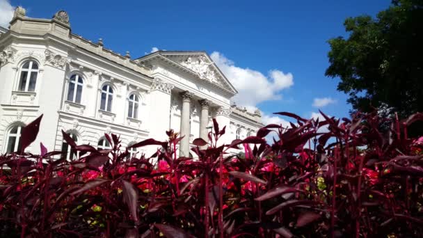 Rzeka Limmat Dużą Ilością Wody Peter Fraumnster Zurychu Szwajcaria — Wideo stockowe