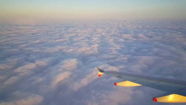 Самолет Летящий Над Облаками — стоковое видео