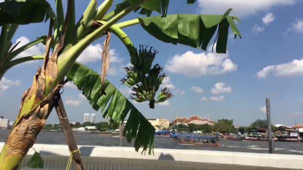 Río Chao Phraya Bangkok Tailandia — Vídeo de stock