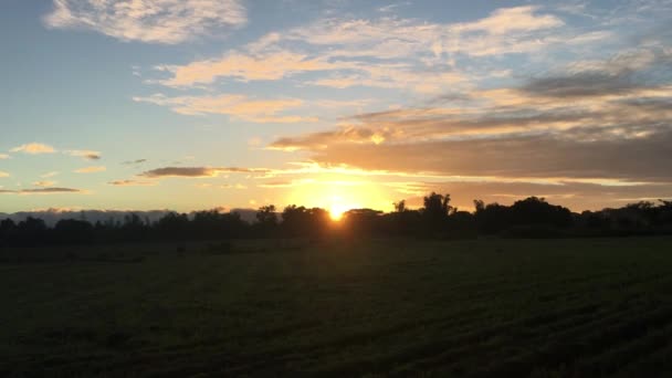 Sonnenaufgang Auf Einem Ackerland Angat Bulacan Philippinen — Stockvideo