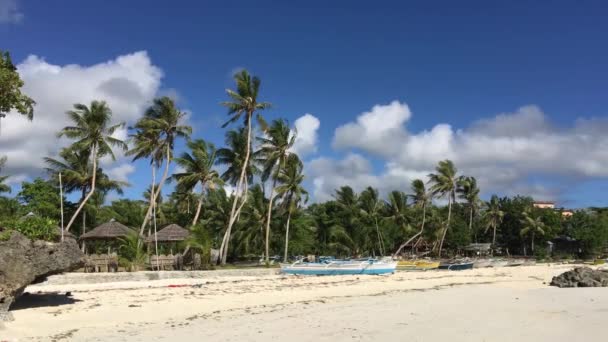 Catamarán Barcos Palmeras Playa Anda Bohol Filipinas — Vídeo de stock