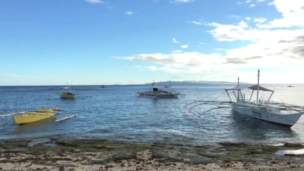 Catamaran Boat Beach Balicasag Island Bohol Philippines — Stock Video