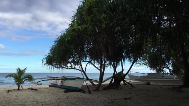 Catamarã Barcos Praia Balicasag Island Bohol Filipinas — Vídeo de Stock