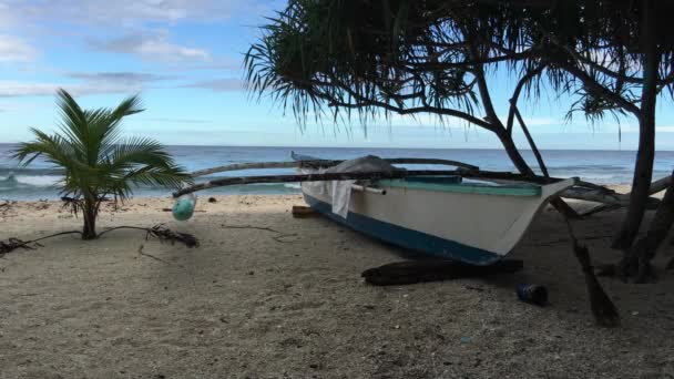 Katamaran Łódź Plaży Wyspie Balicasag Bohol Filipiny — Wideo stockowe