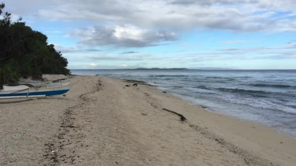 Catamaran Boten Het Strand Van Balicasag Island Bohol Filipijnen — Stockvideo