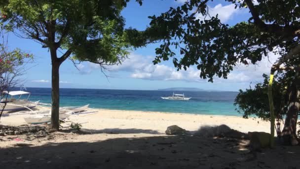 Catamaran Σκάφη Στην Παραλία Του Νησιού Balicasag Στο Bohol Των — Αρχείο Βίντεο