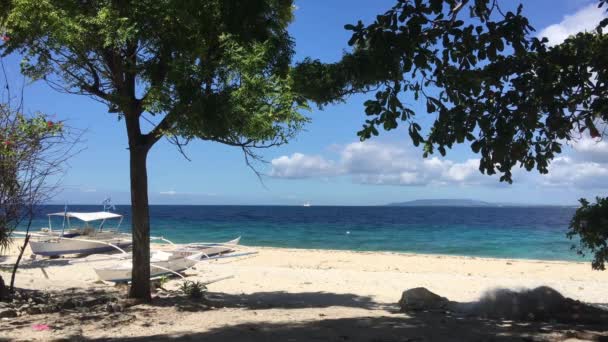 Catamaran Bateaux Sur Plage Île Balicasag Bohol Aux Philippines — Video