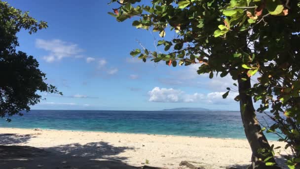 Praia Ilha Balicasag Bohol Filipinas — Vídeo de Stock