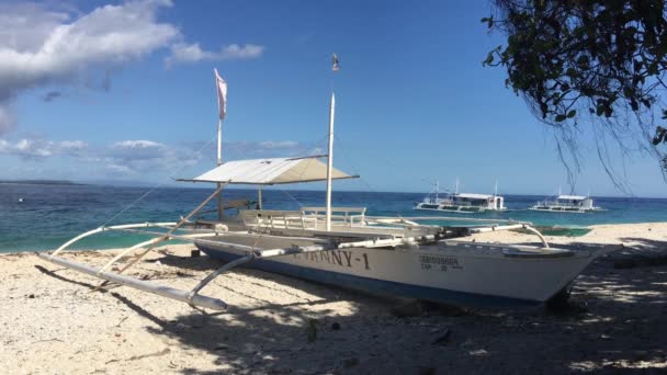 Catamarano Barca Sulla Spiaggia Balicasag Island Bohol Nelle Filippine — Video Stock