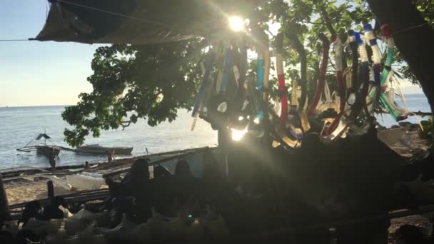 Equipo Snorkel Colgando Playa Con Sol Isla Balicasag Bohol Filipinas — Vídeos de Stock