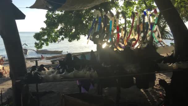 ボホール島のバリカサグ島の太陽の光でビーチにぶら下がっているシュノーケリング用具フィリピン — ストック動画
