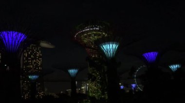 Singapur Körfezi yakınlarındaki Gardens 'ta Supertree Grove ışık gösterisi