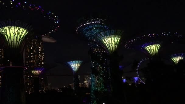 Spectacle Lumineux Supertree Grove Gardens Bay Singapour — Video