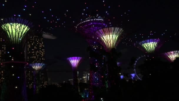 Espectáculo Luces Supertree Grove Gardens Bay Singapur — Vídeos de Stock
