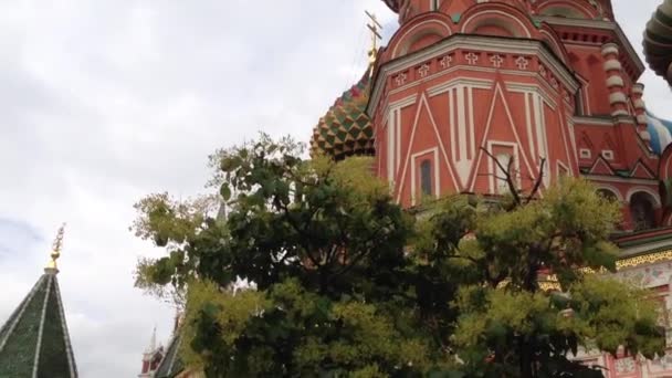 Tilt Pan Saint Basil Katedral Moskva Kreml — Stockvideo