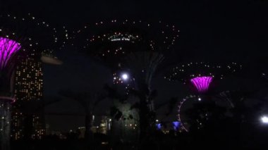 Singapur Körfezi yakınlarındaki Gardens 'ta Supertree Grove ışık gösterisi