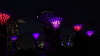 Singapur Körfezi yakınlarındaki Gardens 'ta Supertree Grove ışık gösterisi