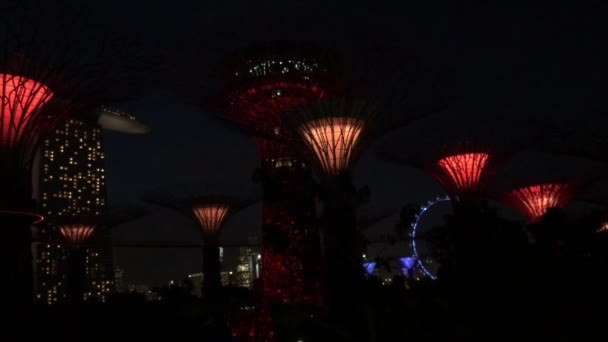 Spectacle Lumineux Supertree Grove Gardens Bay Singapour — Video