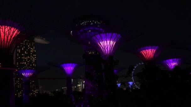 Supertree Grove Light Show Gardens Bay Στη Σιγκαπούρη — Αρχείο Βίντεο