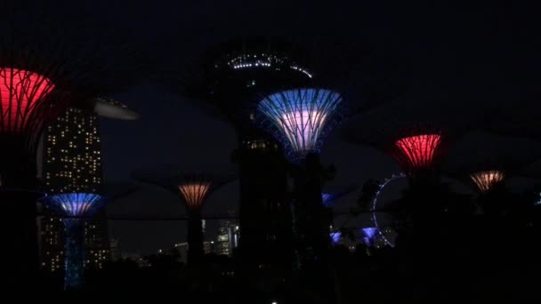 Supertree Grove Light Show Gardens Bay Στη Σιγκαπούρη — Αρχείο Βίντεο