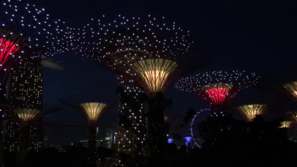 Supertree Grove Light Show Gardens Bay Singapuru — Stock video