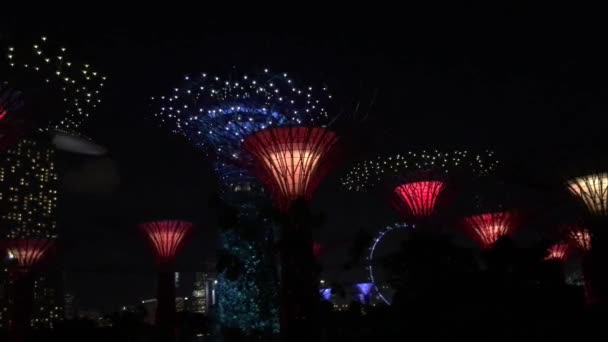 Spectacle Lumineux Supertree Grove Gardens Bay Singapour — Video