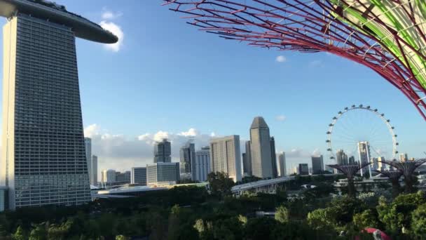 Uitzicht Vanuit Lucht Wandeling Van Supertree Grove Bij Gardens Bay — Stockvideo