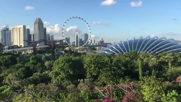 シンガポールのベイにあるガーデンズ アット ガーデンの空の散歩からの眺め — ストック動画