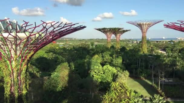 Utsikt Från Himlen Promenad Supertree Grove Gardens Bay Singapore — Stockvideo