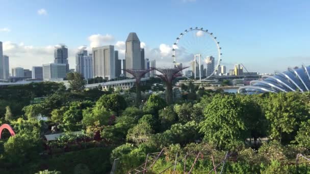 Utsikt Från Himlen Promenad Supertree Grove Gardens Bay Singapore — Stockvideo