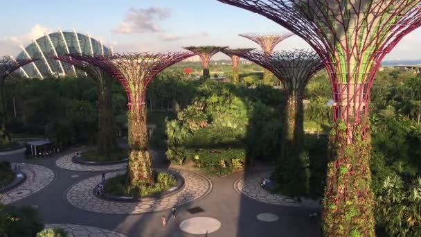 新加坡海湾边的 超级树林 花园的空中漫步 — 图库视频影像