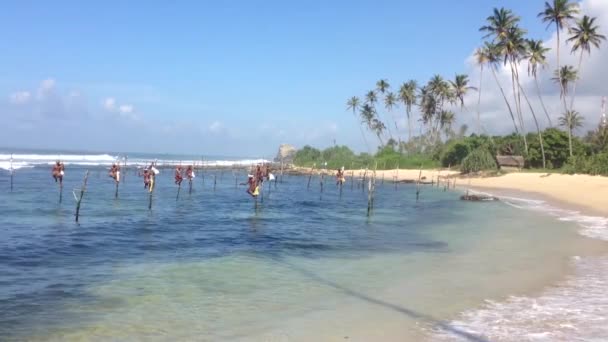 Stilt Fishing Galle Sri Lanka — Stock Video